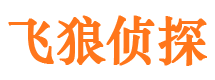 朗县外遇出轨调查取证